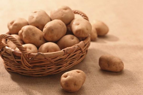 Картофель: Мы едем в новую АгроЭкспедицию! Картофель: Мы едем в новую АгроЭкспедицию!