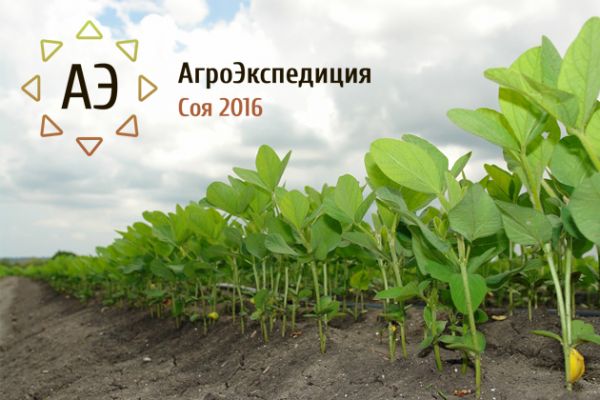 Итоги АгроЭкспедиции Соя 2016: Соевая лихорадка окончена?