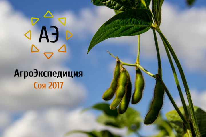 Соя 2017