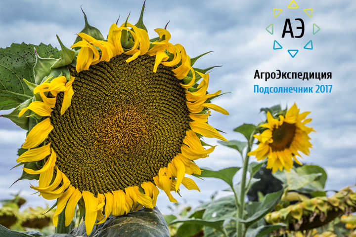 АгроЭкспедиция Подсолнечник 2017