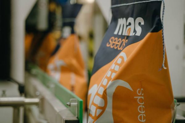 MAS Seeds Украина