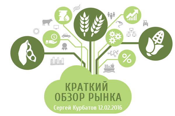 Обзор рынка зерновых и масличных grain