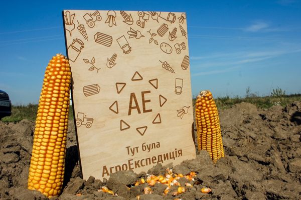 АгроЭкспедиция Кукуруза 2017 Кукуруза