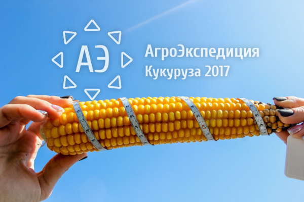 АгроЭкспедиция Кукуруза Кукуруза