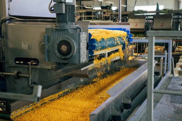 Велика агропереробка: де втрачають гроші українські аграрії? Велика агропереробка: де втрачають гроші українські аграрії?