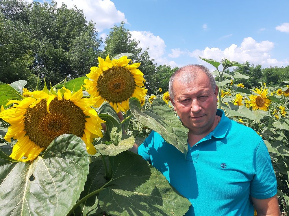 Алексей Сергиенко