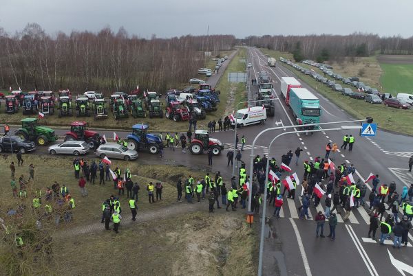 Чому Польща хоче обмежити ввіз українського зерна? Розбираємо питання з польським трейдером