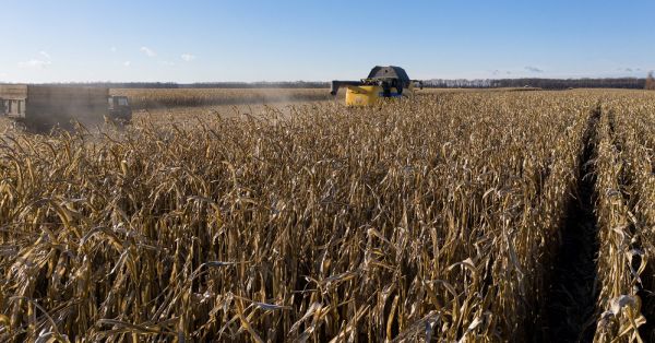 Збиральна кампанія 2021 року 