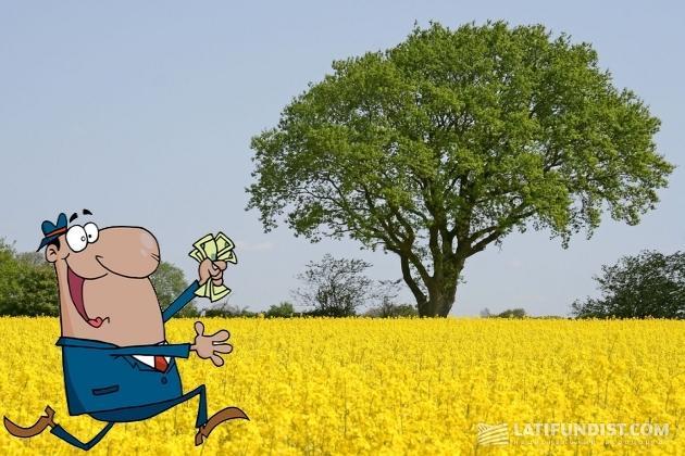 Масличный рынок Украины может привлечь непрофильного инвестора